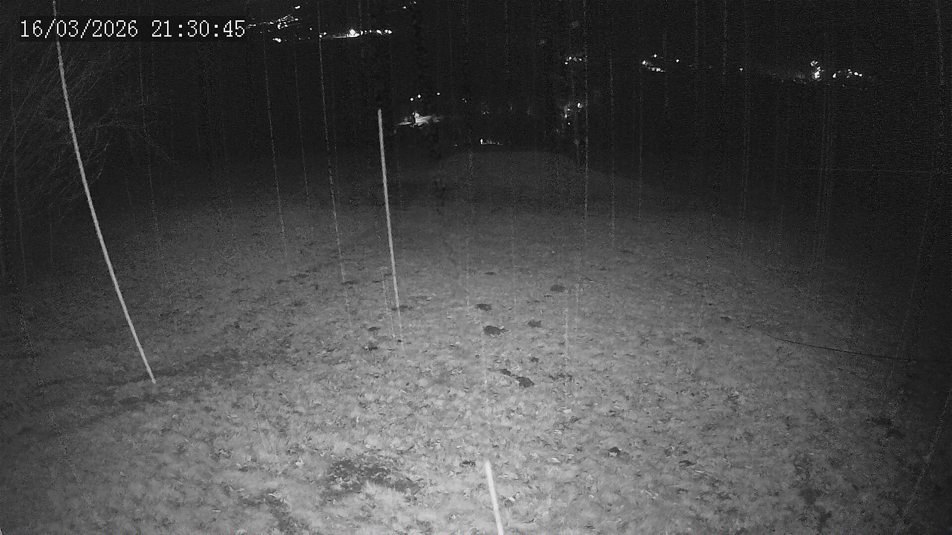 Webkamera - Mladkov - Petrovičky